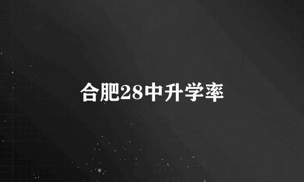 合肥28中升学率