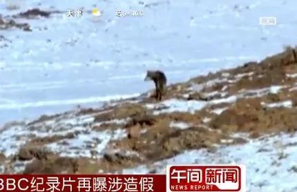 BBC涉嫌造假不止一回?