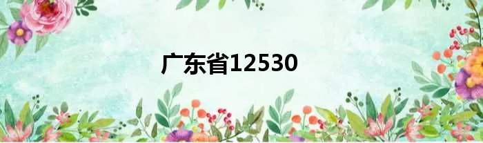 广东省12530