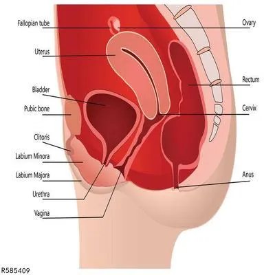 输卵管堵塞应该怎么办