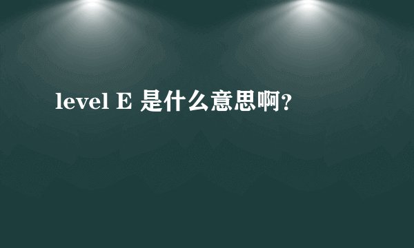 level E 是什么意思啊？