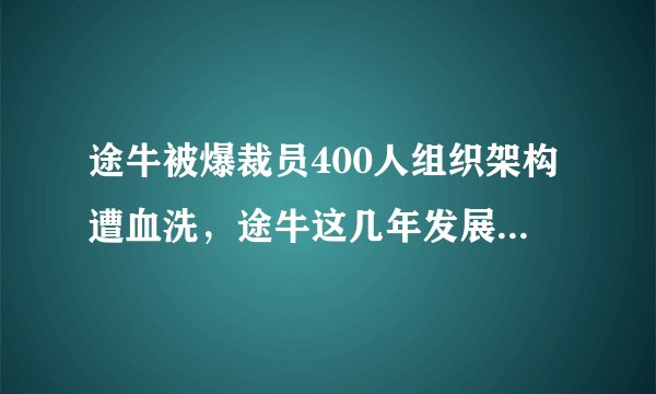 途牛被爆裁员400人组织架构遭血洗，途牛这几年发展如何，与携程的差距体现在哪里？