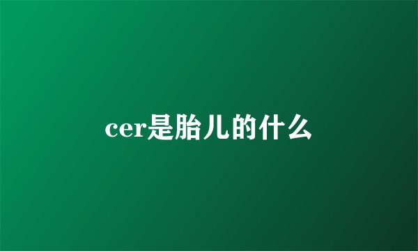 cer是胎儿的什么