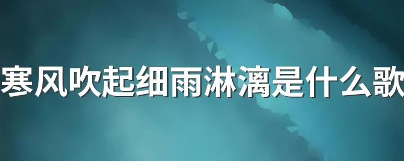 寒风吹起细雨淋漓是什么歌 这首歌你还记得吗
