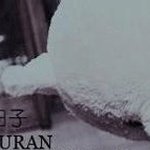 QQ相册封面拼图8张 帮做