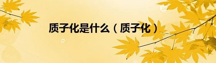 质子化是什么（质子化）