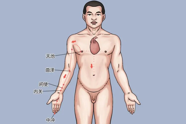 手掌经络图按摩