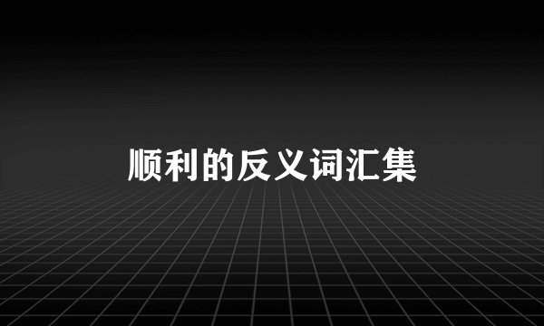 顺利的反义词汇集