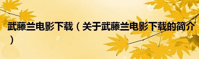 武藤兰电影下载（关于武藤兰电影下载的简介）