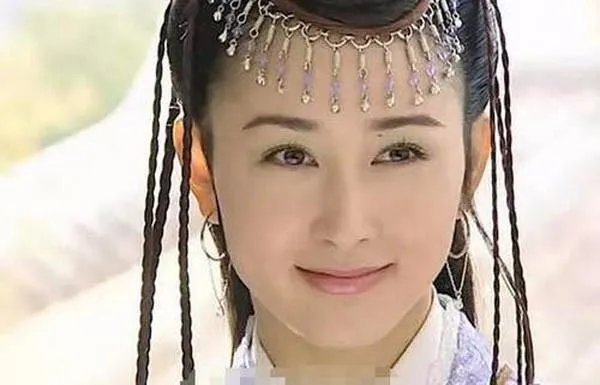 胡静演过什么电视剧？