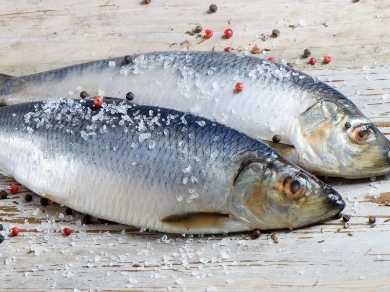 鱼鳔的作用是什么