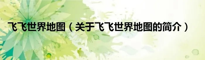 飞飞世界地图（关于飞飞世界地图的简介）