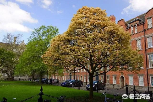 大学校园应该是什么样的?