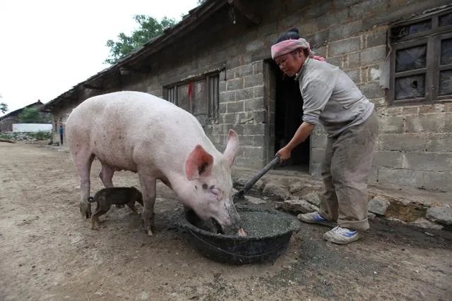 唯美图片伤感图片？