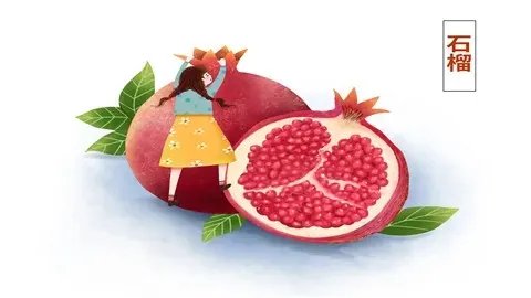 石榴的功效与作用禁忌