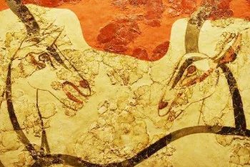 波希战争的背景经过和结果，为何马其顿成为征服者