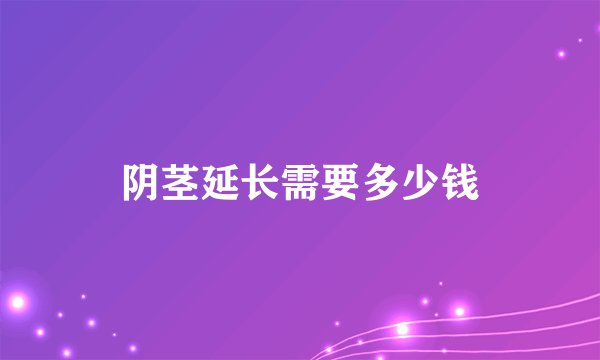 阴茎延长需要多少钱