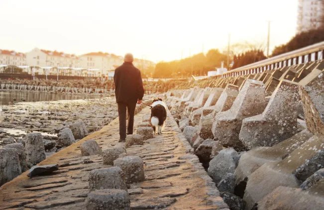 花甲之年是指多少岁