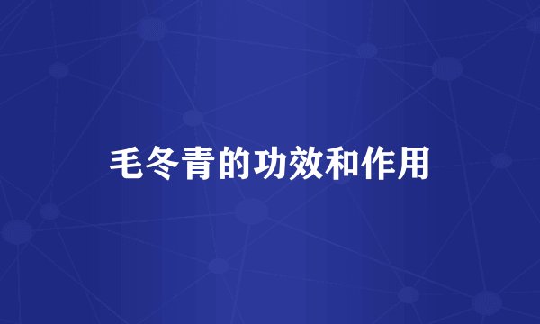 毛冬青的功效和作用