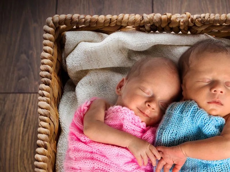 双胞胎是怎样形成的