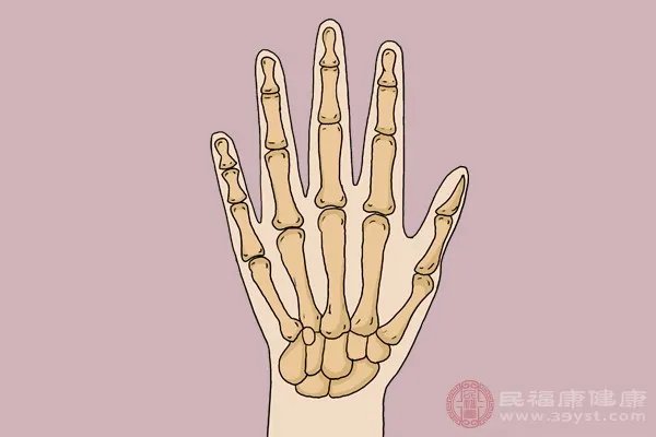 食指是哪个手指