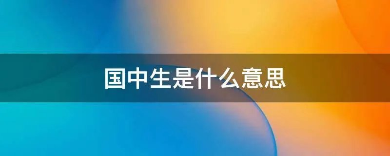 国中生是什么意思