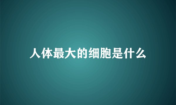 人体最大的细胞是什么