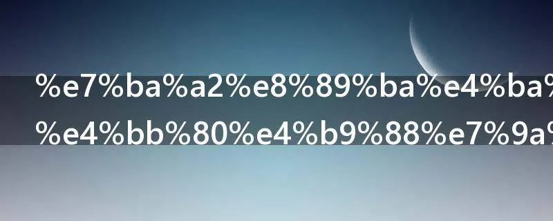 红艺人是做什么的