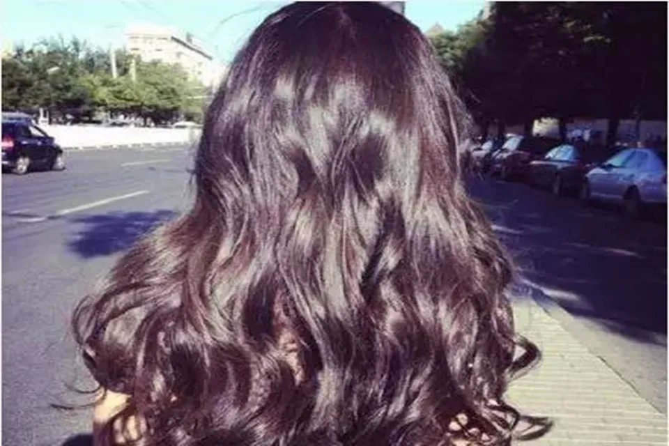 二椅子是什么人 二刈子是哪里的方言