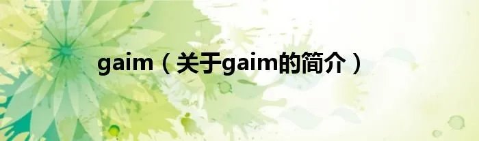 gaim（关于gaim的简介）