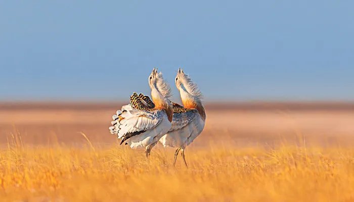 漠北是现在的哪里 古时的漠北是现在的哪里