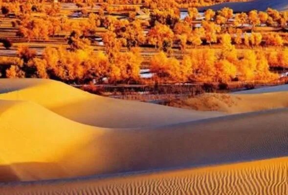 世界最大的十大沙漠 阿拉伯沙漠上榜,第十是我国最大的沙漠