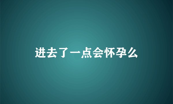 进去了一点会怀孕么