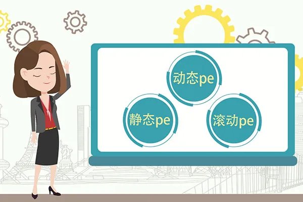 pe是什么意思
