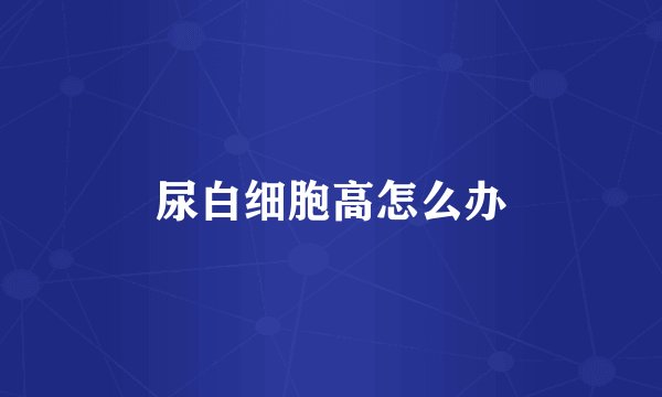 尿白细胞高怎么办