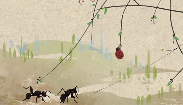 蚂蚁的生活习性 蚂蚁的生活习性有什么