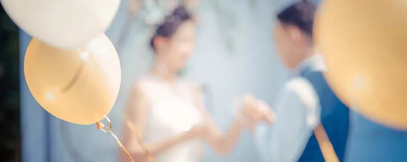 伉俪是什么意思