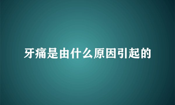 牙痛是由什么原因引起的