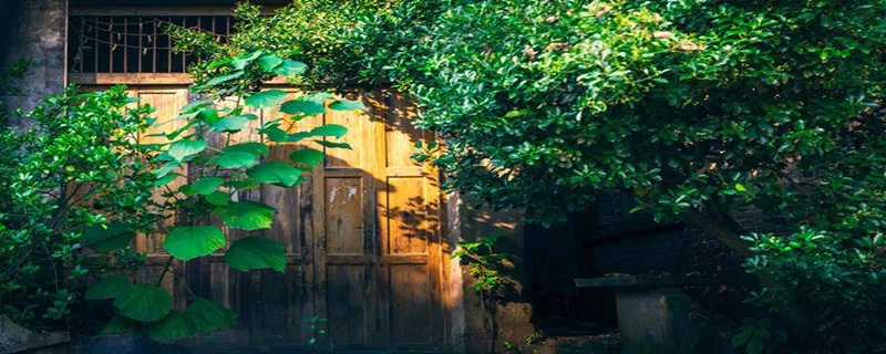 恬淡是什么意思 恬淡是什么意思呢