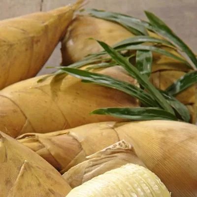 什么人不能吃萝卜