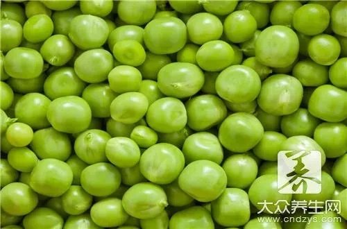 嫩豌豆角怎么炒好吃