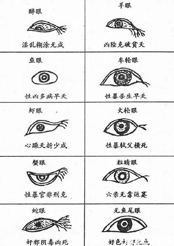 二十种眼形大全图解