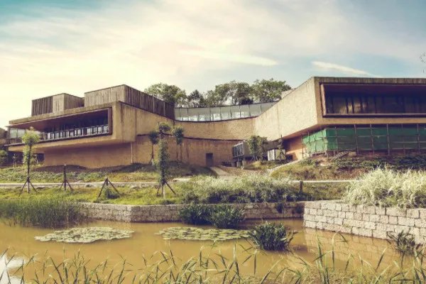 四次元是什么意思啊