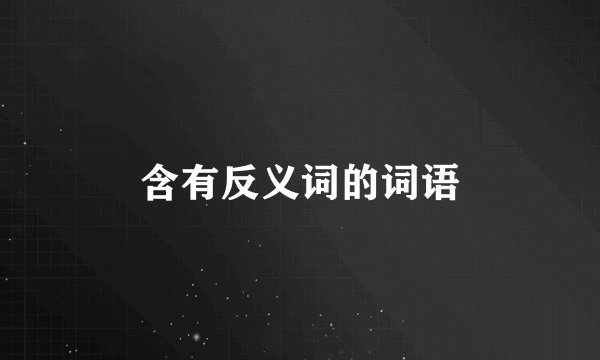 含有反义词的词语