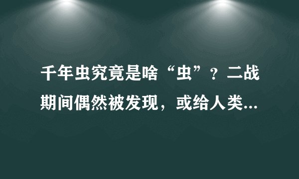 千年虫究竟是啥“虫”？二战期间偶然被发现，或给人类带来危机！