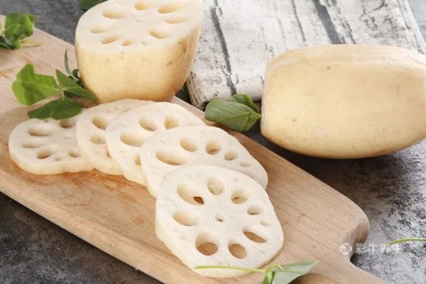 清热去火的粥有哪些