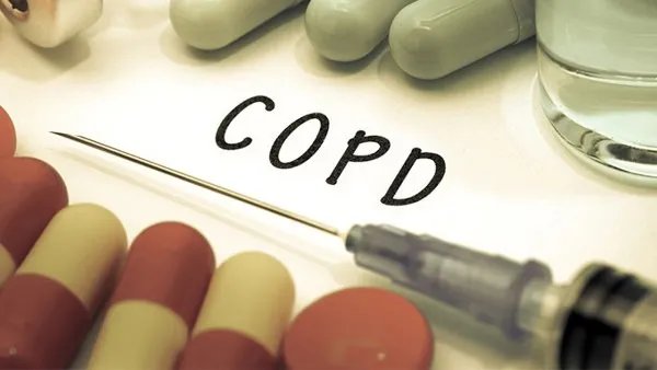 灵芝胶囊的价格