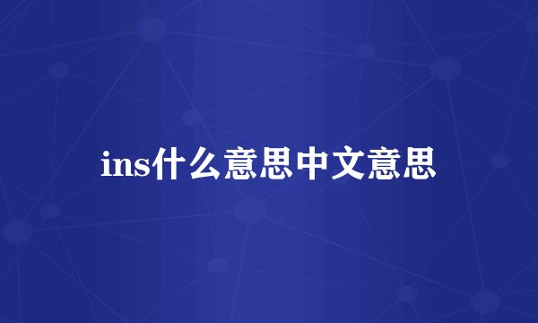 ins什么意思中文意思