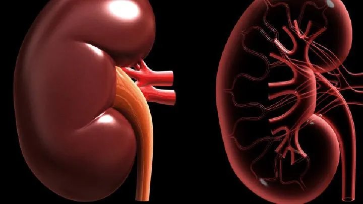 怎样预防尿毒症