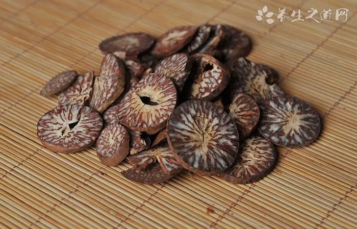 毛大丁草的药用价值_毛大丁草的副作用